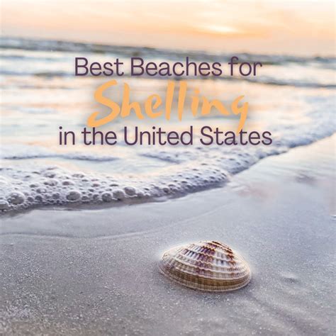 Best Beaches For Shelling In The Us From California To Florida