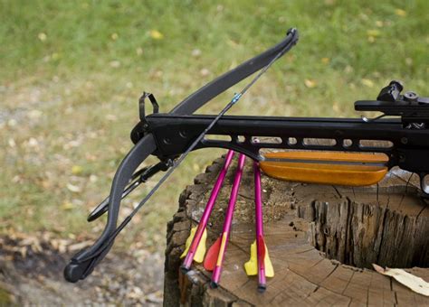 5 Best Crossbows Under 200 Top Rated And Reviewed Winter 2024