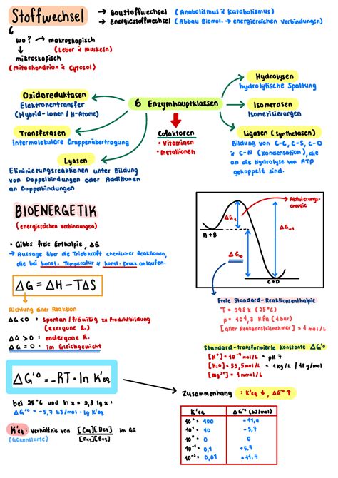 Biochemie 2 Note Only Chapter 1 Stoffwechsel BauStoffwechsel