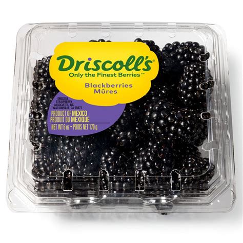 Driscoll S Blackberries 6 Oz Container Delivery Or Pickup Near Me