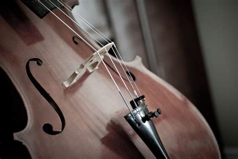 Cello Concert and Music2Gether overview | P2G Western Galilee