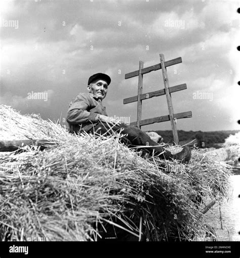 Saar Story Agriculture Community Threshing Photographs Of Marshall