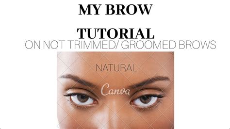 Not Groomed Trimmed Eyebrow Tutorial Natural Detailed Brow Routine