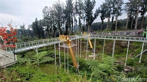 Tourist Falls To Her Death After Glass Bridge In Indonesia Park Shatters Police Investigations