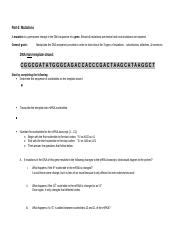 Understanding Mutations in DNA: Types and Implications | Course Hero