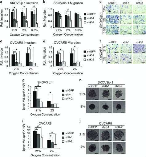 Kdm4b Supports Ovarian Cancer Cell Invasion Migration And 3d Spheroid