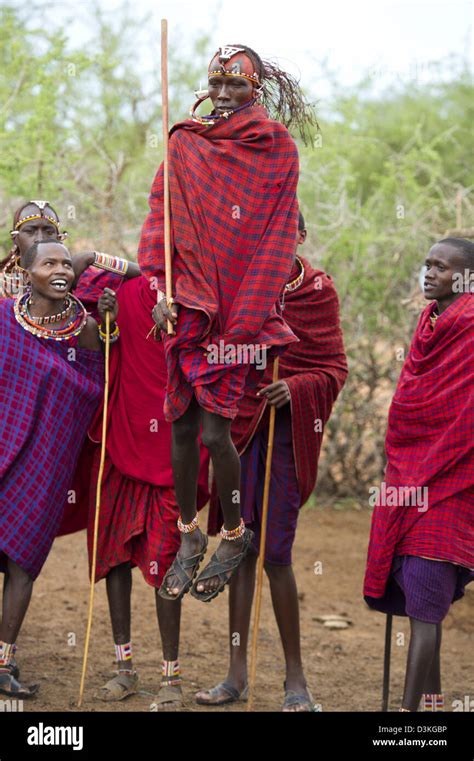 Maasai Dancing Selenkay Conservancy Kenya Stock Photo Alamy