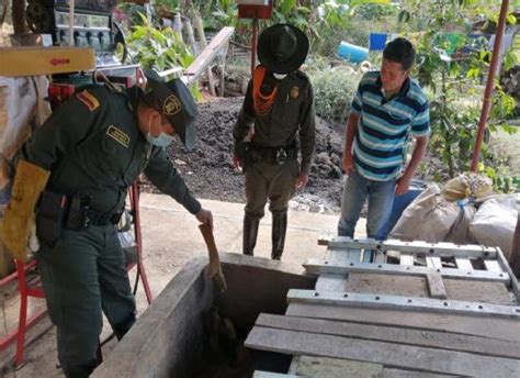 Un Oso Hormiguero Fue Rescatado En El Municipio Del Socorro Policía