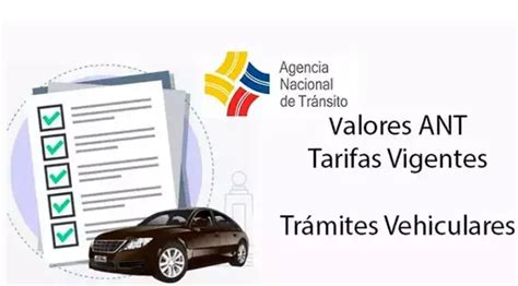 Tarifas Para Trámites Vehiculares 2025 Elyex