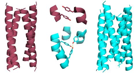 Aromatic Residues In Coiled Coils Woolfson Group