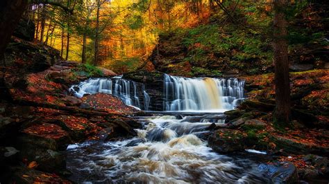 Cayuga Falls Ricketts Glen State Park Pennsylvania River Fall