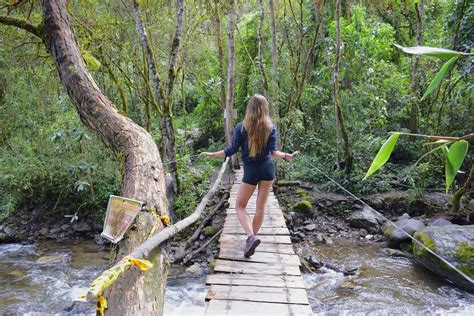 15 Best Things to do in Salento, Colombia +COMPLETE 2025 Guide