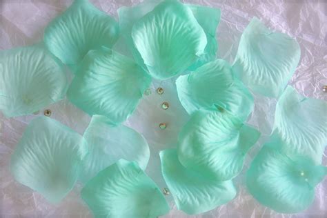 100 Robins Egg Blue Flower Petals Light Aqua Party Decor - Etsy