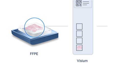 Enhance Your Analysis Of Ffpe Tumor Samples