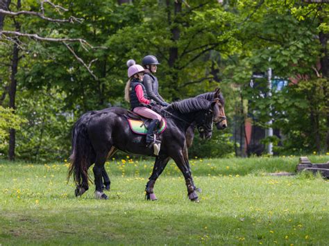 Ridlärarbloggen Vart är Vi På Väg Ridsport