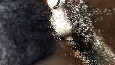 Free Outdoor Xxx Porn Videos Xhamster