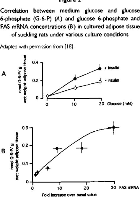 Figure 2 From Regulation Of Lipogenic Enzyme Expression By Glucose In Liver And Adipose Tissue