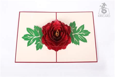 Red Rose Bloom Pop Up Card Kiricard