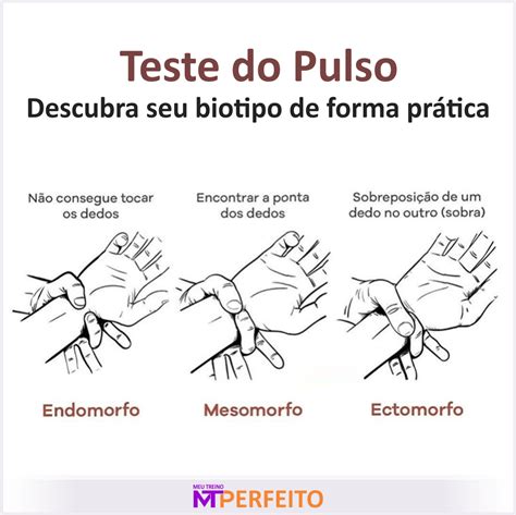 Ectomorfo Mesomorfo E Endomorfo Teste Do Pulso Meu Treino Perfeito