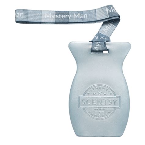 Mystery Man Scentsy Car Bar