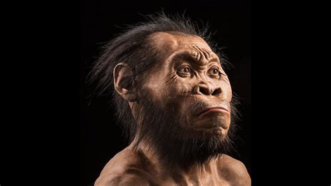 Homo Naledi Reconstruction By Paleo Artist John Gurche He Spent