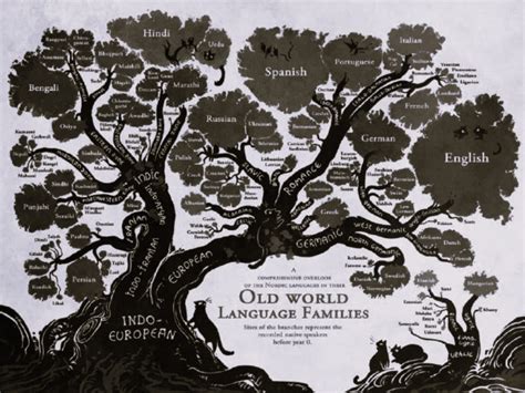 history  language evolution acquisition adaptation  change