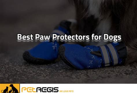 Best Paw Protectors For Dogs In 2022 (Buyer's Guide)