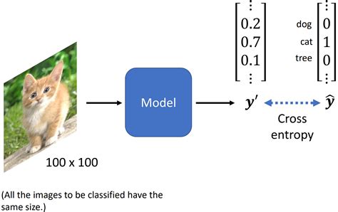 Lecture Convolutional Neural Network Cnn Csdn