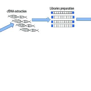 Identification And Quantification Of Cell Free Dna Cfdna Cell Free