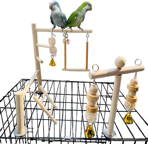 Amazon Hamiledyi Parrot Playground Parakeet Perches Outside Cage