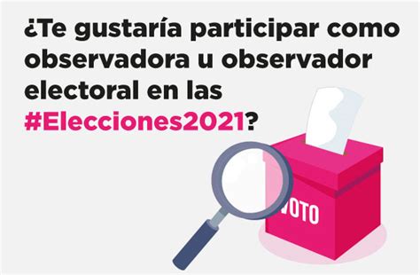 Participa Como Observadora U Observador Electoral En Las Elecciones