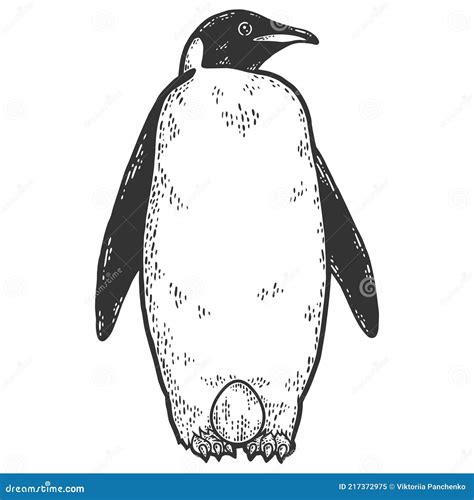 King Penguin with an Egg on Feet Waiting for it To Hatch. Sketch