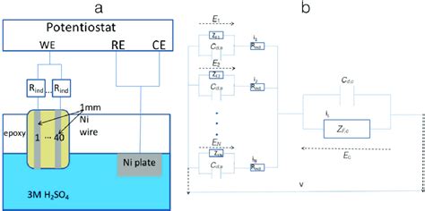 Schematic Of The Two Electrode Electrochemical Cell With Multiple