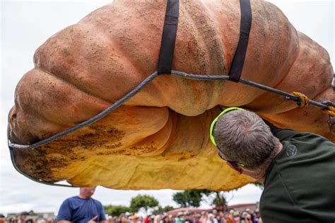 États Unis la plus grosse citrouille du monde pesée à plus d 1 2 tonne