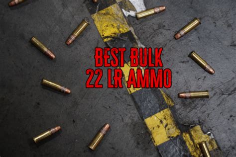 Best Bulk Rimfire Ammo True Shot Ammo