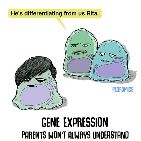 You Re Not My Real Stem Cells By Velica On DeviantArt Biology Humor