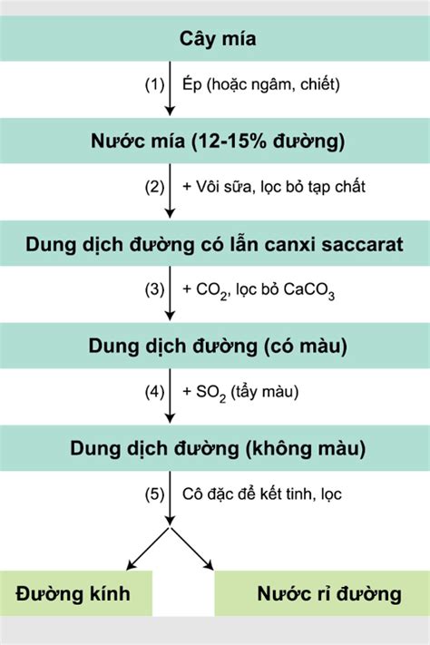 Quy trình sản xuất đường saccarozo từ cây mía - Máy ép mía