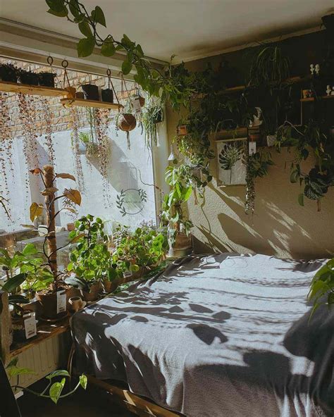 Trending Bedroom Decor Plants To Add A Touch Of Nature To Your Space