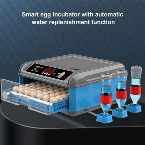 Brooder Incubadora Autom Tica De Ovos Equipamento Dom Stico De Aves De