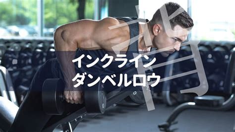 ベントオーバーローイングの効果的なやり方｜背筋を鍛えるトレーニング｜qitano ® 北野カラダづくりラボ