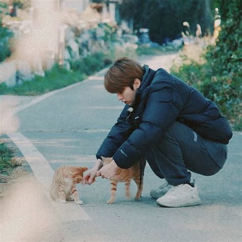 Lee Know With Cats