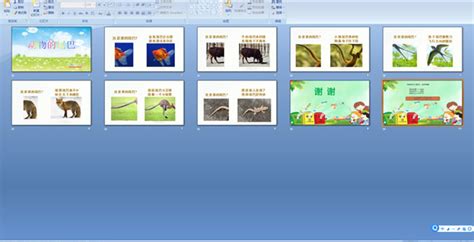 幼儿园中班科学活动——动物的尾巴 Ppt课件