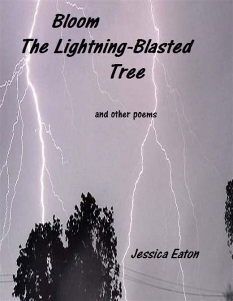 Poems About Lightning And Thunder Shelly Lighting