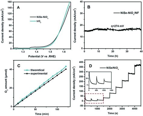 A Polarization Curves Obtained With Nise Nio X Nf And Iro For Oer