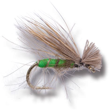 Cdc Adult Caddis Apple Green The Fly Shack Fly Fishing