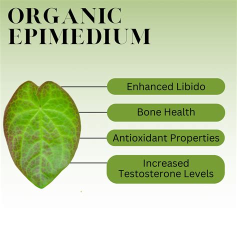 What is Epimedium? - History, Benefits, and More | Full Leaf Tea Company