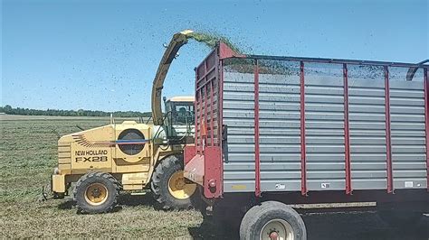 Chopping First Crop Alfalfa YouTube