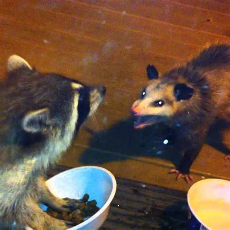 Stream Fuck Listen To Aesthetic Playlist Online For Free On SoundCloud