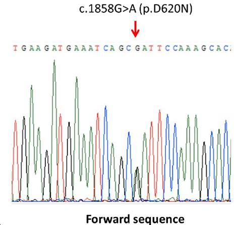 Chromatograms Of Direct Sequencing Of The Vps35 Genomic Sequence