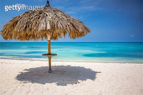 Aruba Idyllic Caribbean Beach At Sunny Day With Rustic Palapa Dutch